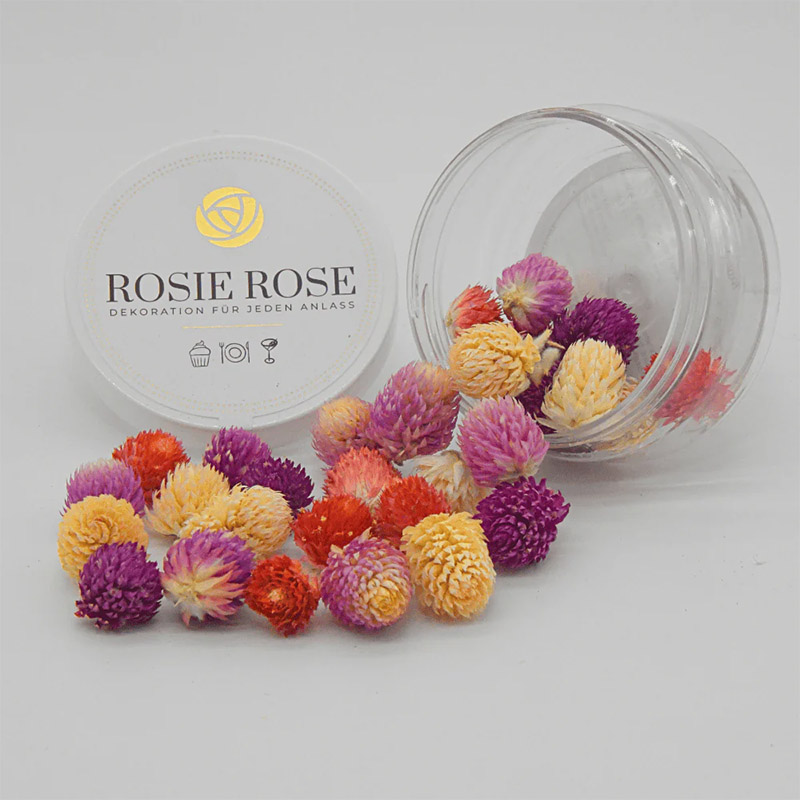 Rosie Rose Special Flowers Globe Amaranth Mix 15 Pieces