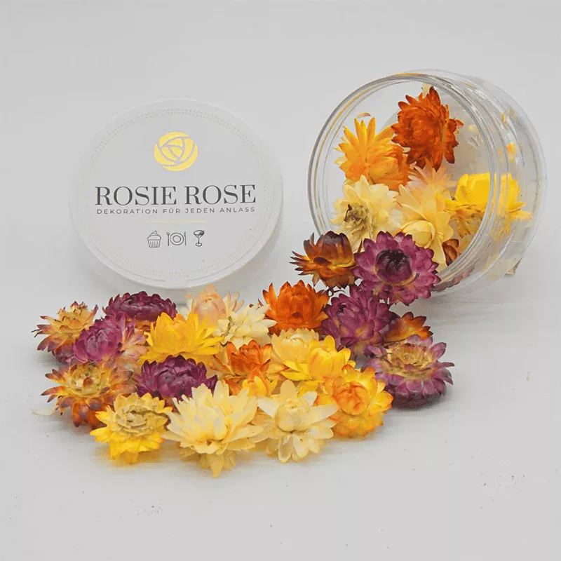 Rosie Rose Special Flowers Strawflowers Mix 15un