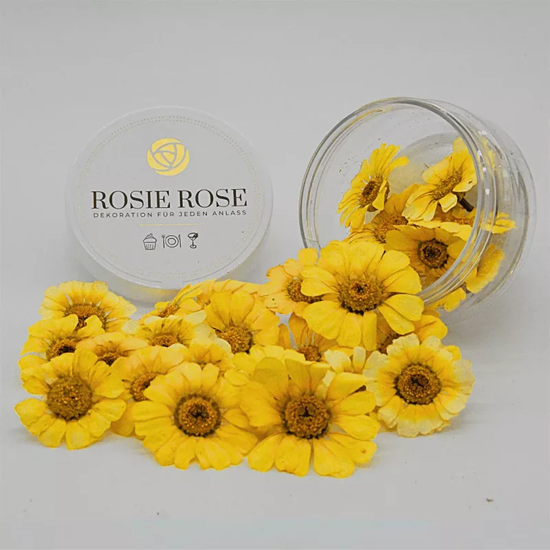 Rosie Rose Special Flowers Yellow Marguerites 15 Units