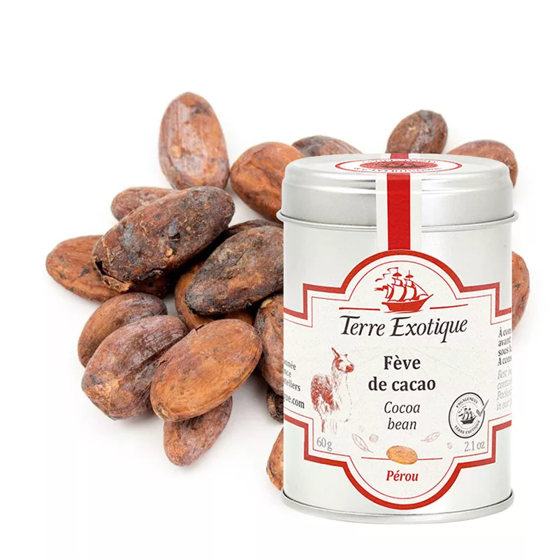 Terre Exotique Cacao Bean 60g