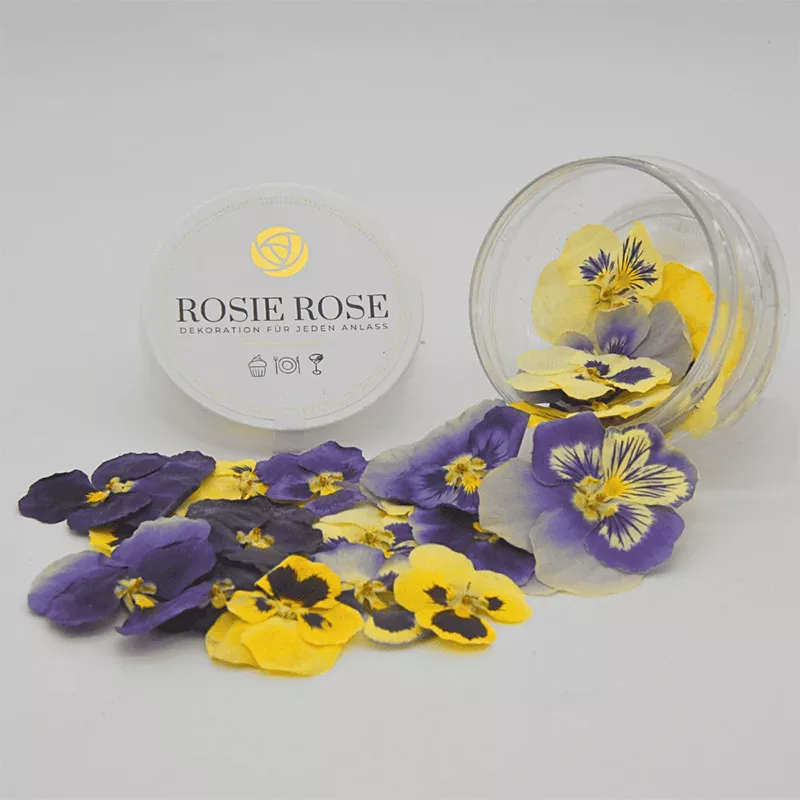 Rosie Rose Special Flowers Pansies 15 Units